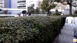 欧美成人三级精品视频在线观看